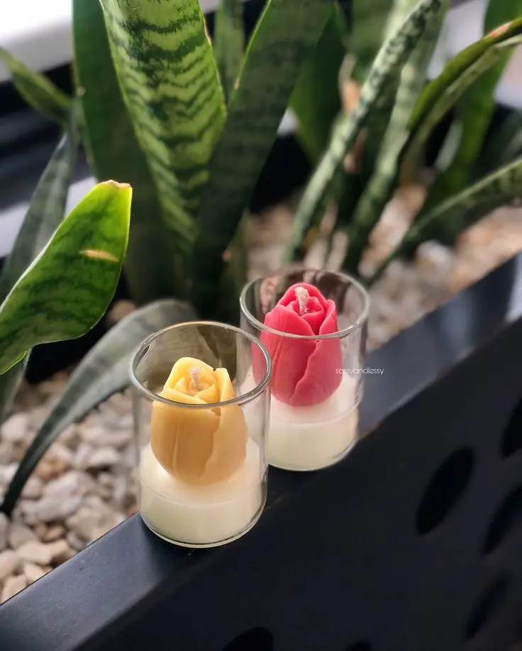 Tulip Candle